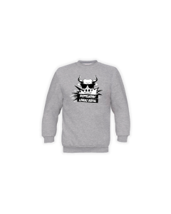 Sweat-Shirt "DOPPELHORN" grau